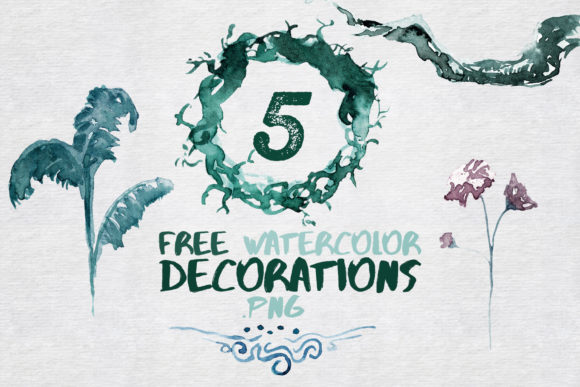 5 Watercolor Decorations: A Designer's Review