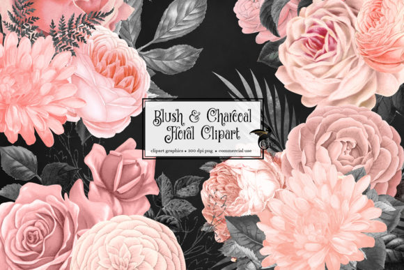 Blush and Charcoal Floral Clipart Review