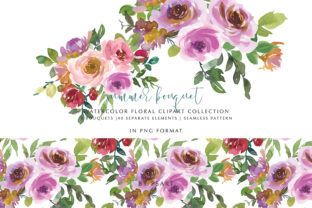 Blush Pink Purple Watercolor Florals Illustrations