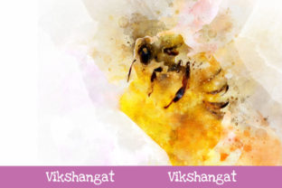 Honey Bee Watercolor Art & Illustrations