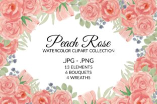 Peach Rose Flower Watercolor Clipart Set Illustrations