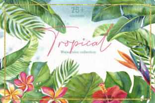 Tropic Leaves Flowers Watercolor Set Illustrations