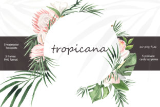 Tropicana Watercolor Bouquets & Illustrations