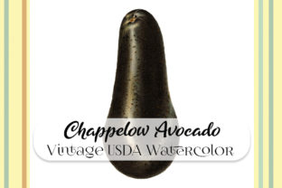 Vintage Chappelow Avocado Watercolor Illustrations