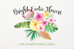 Watercolor Exotic Flowers Mini Set Illustrations