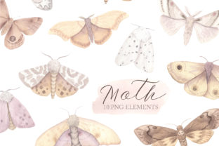 Watercolor Moth Clipart: A Designer's Review