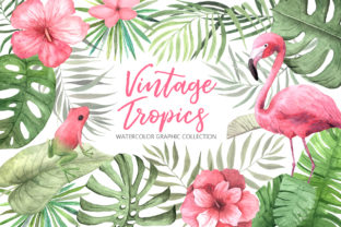 Watercolor Vintage Tropical Set Review