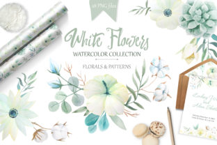 Watercolor White Flowers Set Illustrations Review