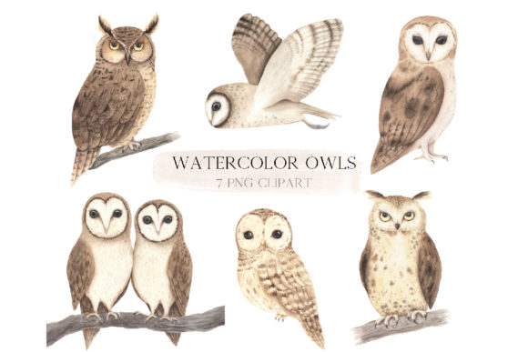 Woodland Owl Clipart & Illustrations Review